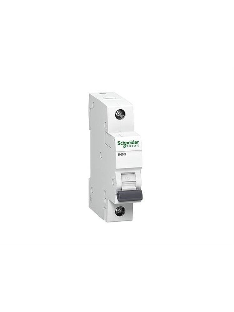 Automatinis jungiklis K60N A9K02110 10A C, 6kA