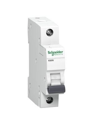 SCHNEIDER automatas IC60N 1P B10
